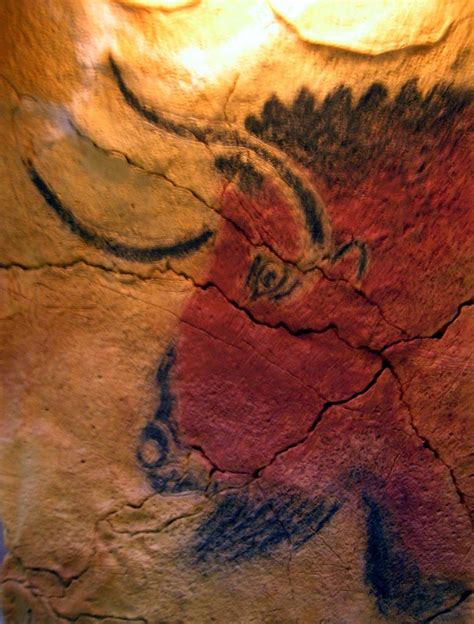 The Cave Paintings Of Altamira Spain The Cave