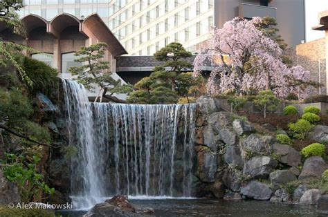 Japanese Cherry Blossom Waterfall Waterfall At The New Otani