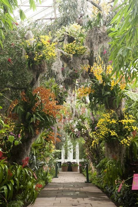 Tropical Garden Design Tropical Landscaping Tropical Plants Orchids