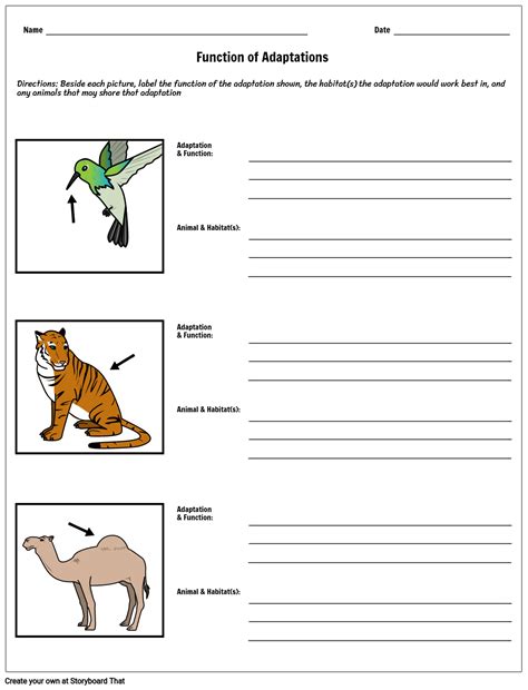 Animal Adaptation Worksheet Practice And Free Activities