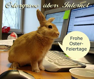 Ostern steht vor der tür! Lustige Osterbilder