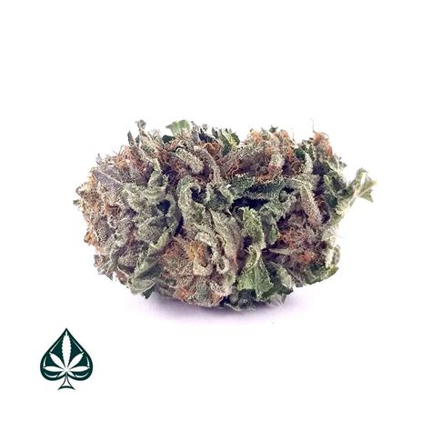 Buy Purple Kush Indica Aaa The Green Ace Online Dispensary