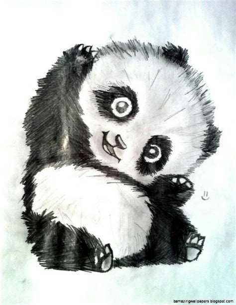Panda Duvar Kağıdı Babypandabears Panda Duvar Kağıdı Panda Zeichnung