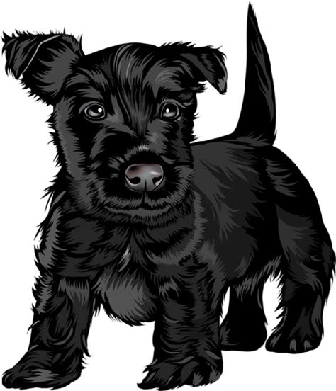 Download Dog Cartoon Images Cute Little Black Dog Clipart Clipartkey