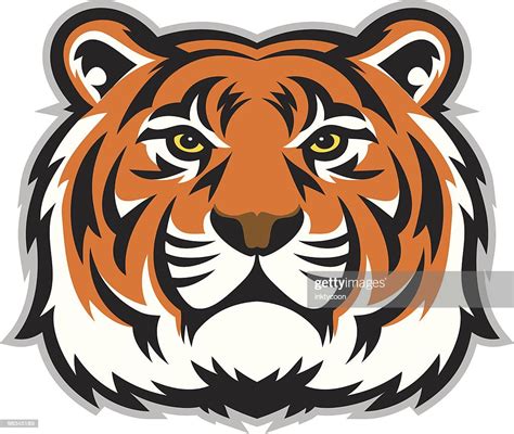Tiger Face High Res Vector Graphic Getty Images