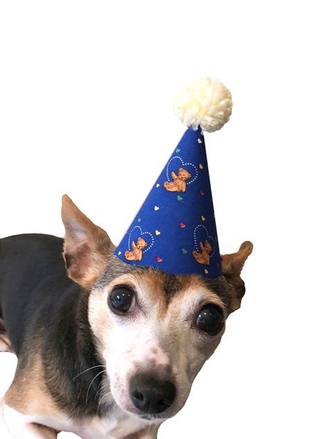 Mini Party Hat Dog Birthday Hat Dog Lover T First Etsy