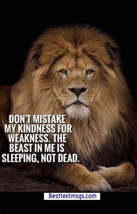 Lion Quotes Images Free Download “if Ever You Feel Like An Animal