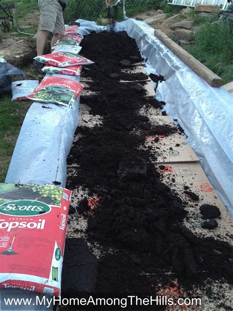 Should i water my vegetable garden every day? Converting yard space into garden space | My Home Among ...