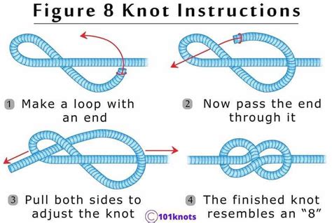 Best Knot For Dog Leash A Quick Guide
