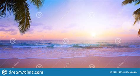 Art Beautiful Sunset Tropical Beach Background Palm Trees And Sea