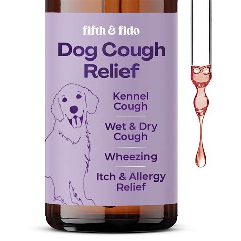 6 Best Cough Relief Products For Dogs → K 9 Specialist