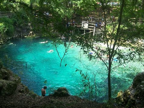 Kool, fun, and great for the kids nice environment. 10 Best Places in Florida To Swim (with Photos ...