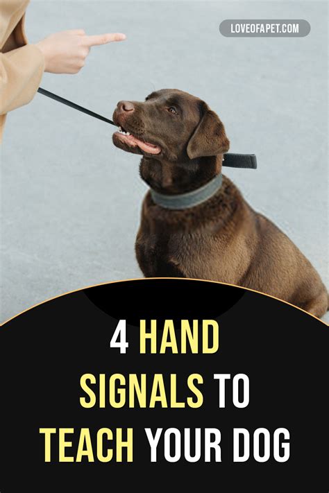 Dog Training With Hand Signals What You Need To Know Love Of A Pet