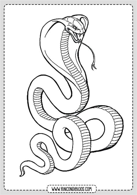 Serpiente Cobra Dibujo Rincon Dibujos