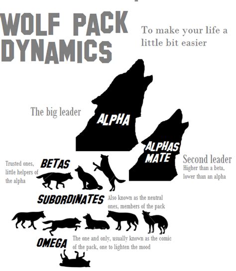 Anime Wolf Pack Names What Position Would You Be In A Wolf Pack