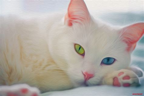 Cat Beauty By Warproof