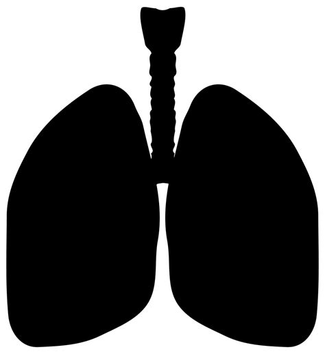 OnlineLabels Clip Art Lungs Silhouette