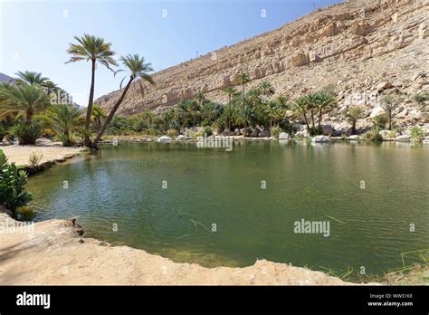 Desert Oasis Pool Hi Res Stock Photography And Images Alamy