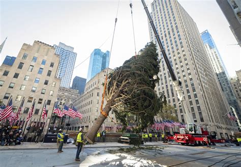 The 2020 Rockefeller Christmas Tree Has People Thinking Of Charlie