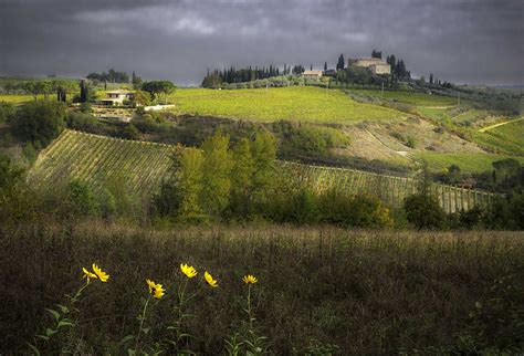 Tuscan Landscape3 Peter Barrien Photography