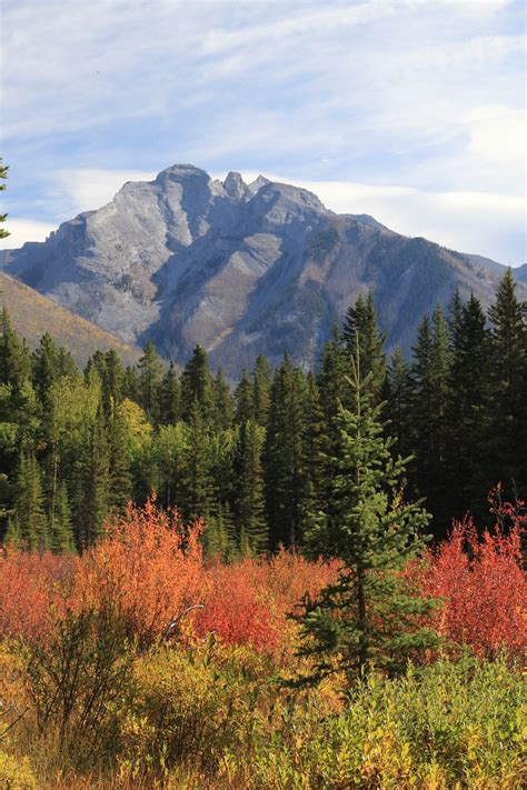 Fall colors in Banff National Park ~ Alberta, Canada | Fall colors
