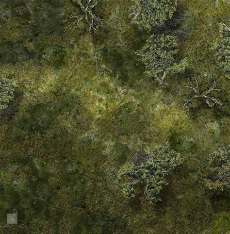 Marsh Battle Map 2 Battle Map Fantasy Map Forest Map