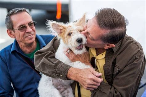 Is the first of its kind in america, and can also be used for adoption events, emergency relief efforts and other charitable events throughout the community. Pet Adoption with PetSmart Charities