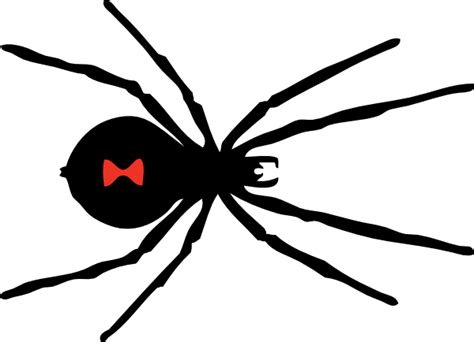 Black Widow Spider Clip Art At Vector Clip Art Online