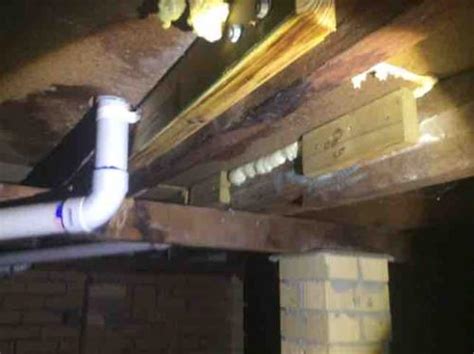 We understand that when buying a new home it can become very stressful, that is why we liaise a timber pest inspection or building inspection is not carried out to determine if the building passes or fails, the main objective of a timber pest. Building Inspection Ashmore Gold Coast - Building and Pest ...