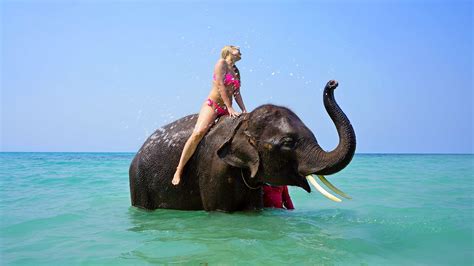 Free Images Sea Water Girl Trunk Vacation Travel