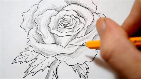 How To Draw A Rose Quick Sketch Youtube