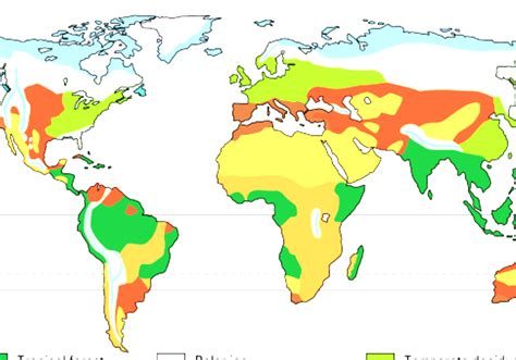 Map Of Biome Locations In The World Temperate Rain Forest My Xxx Hot Girl