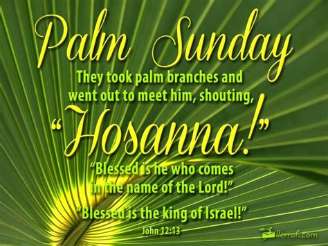 Palm sunday quotes from the bible tells lot of. Palm Sunday They Took Palm Branches And Went Out To Meet ...