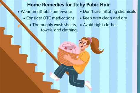 Itchy Pubic Hair Causes And Treatment