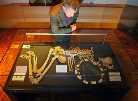 We are proud to have a teen dating mobile app. 4,000 year old skeleton was likely a 'warrior chief' - The ...