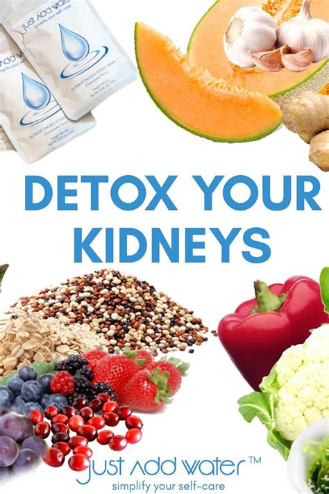 Foods The Detox Your Kidneys Food Gut Healthy Foods Gut Health Facts