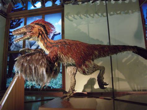 Deinonychus Dinopedia Fandom Powered By Wikia