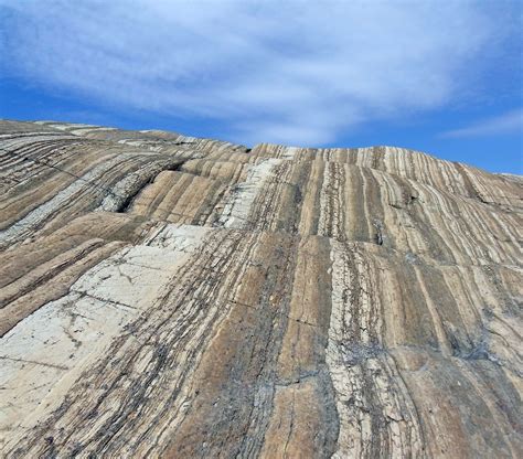 Belajar Geografi Mengenal Jenis Jenis Batuan Batuan Sedimen