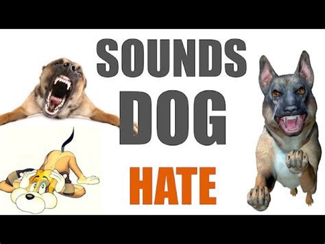What Sounds Will Make A Dog Go Crazy