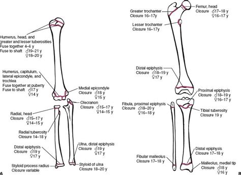 Physeal Injuries And Growth Disturbances Musculoskeletal Key
