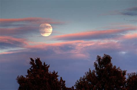 Moon In Clouds Over Trees Photograph By David Dehetre Pixels