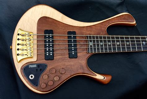 You can get them at guitar center and musician's friend, or probably anywhere else that sells strings. Zakrzewski Exclusive 5 string bass guitar | Luthiers ...