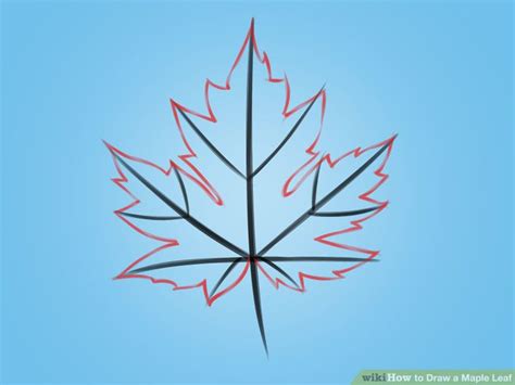 How To Draw A Maple Leaf 12 Steps With Pictures Wikihow Maple