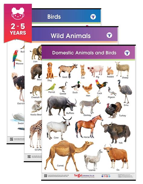 Top 125 5 Differences Between Wild And Domestic Animals