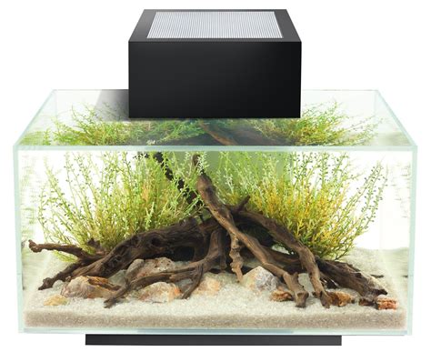 Fluval Edge Aquarium With Led Light Aquarium Set Betta Fish Tank