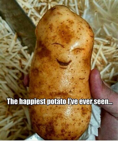 Fresh Viral Memes 19 Pics With Images Happy Potato Funny Selfies Potatoes