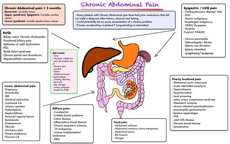 Abdominal Pain Differential Diagnosis By Quadrants Gr