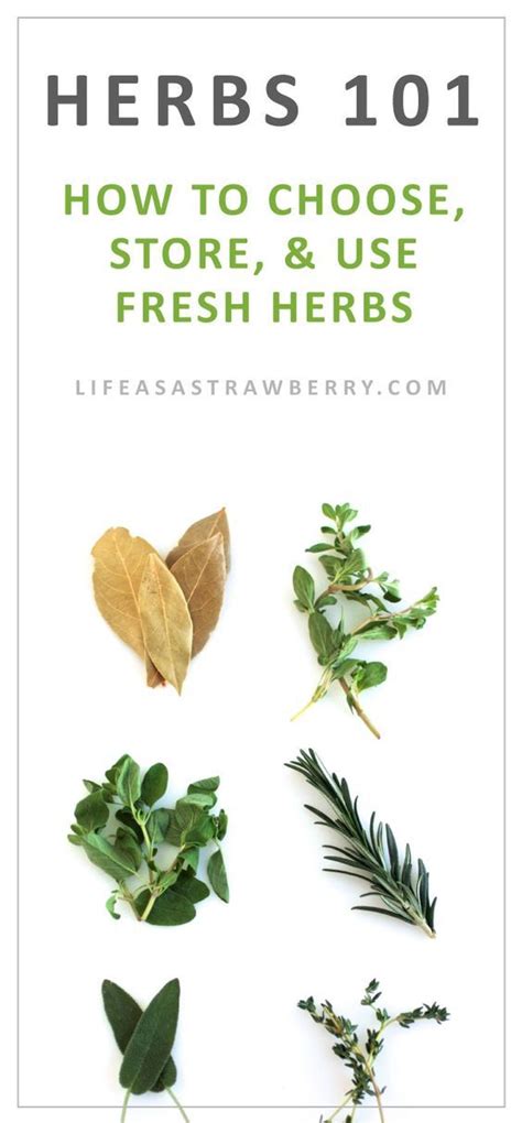 Fresh Herbs 101 Types Of Herbs Herbs Fresh Herbs