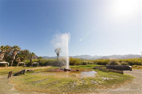 Old Faithful Geyser Of California A Unique Attraction In Calistoga