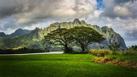 Images Hawaii Oahu Nature Mountains Scenery Grass Clouds 2560x1440